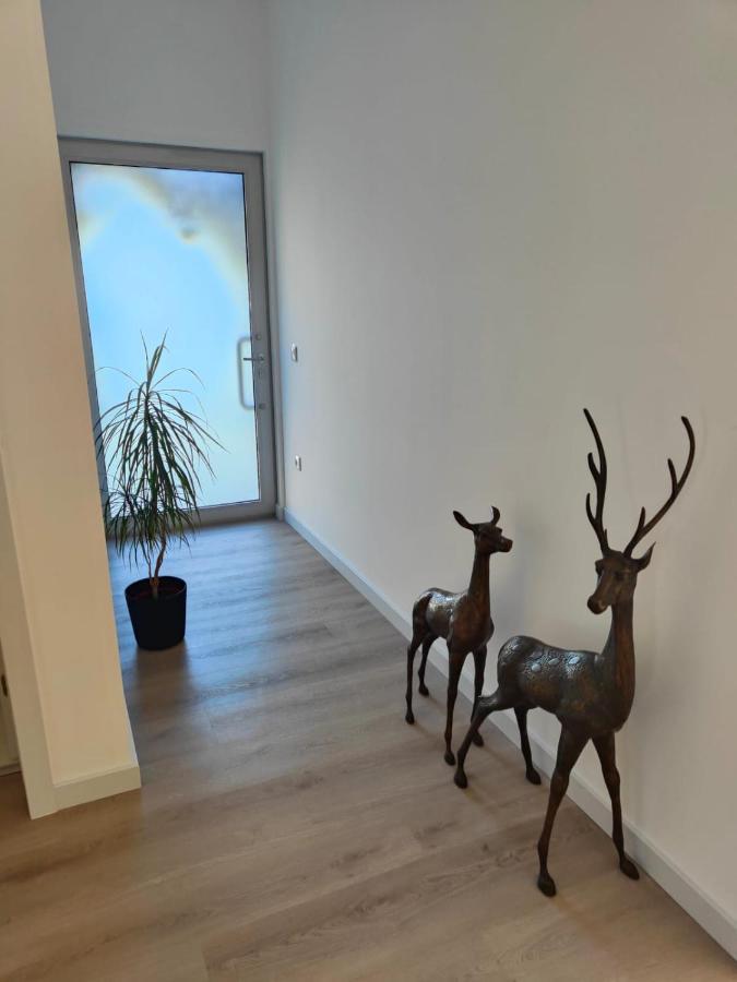 Quinta De Basto House Hotel Felgueiras Buitenkant foto